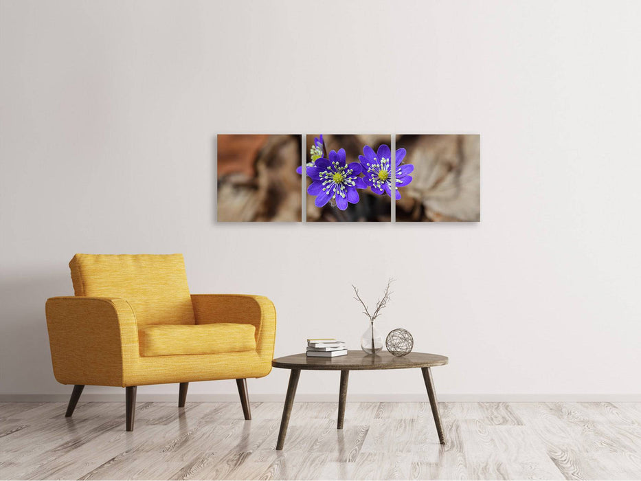 Panoramic 3-piece canvas picture wild flowers