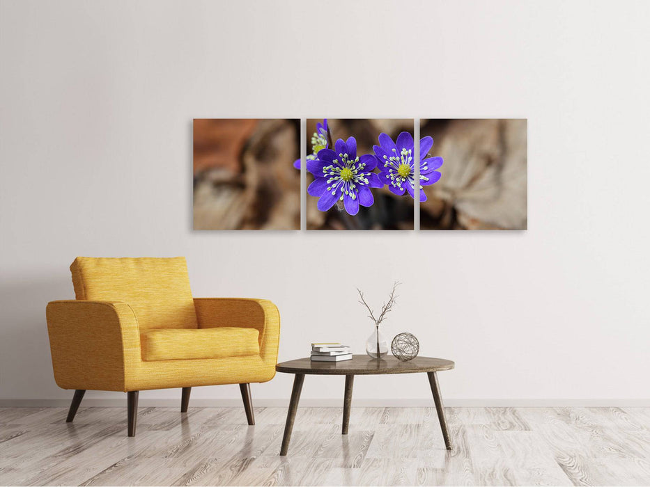 Panoramic 3-piece canvas picture wild flowers