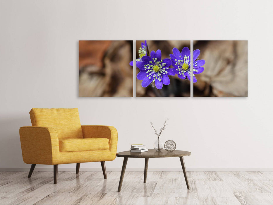 Panoramic 3-piece canvas picture wild flowers