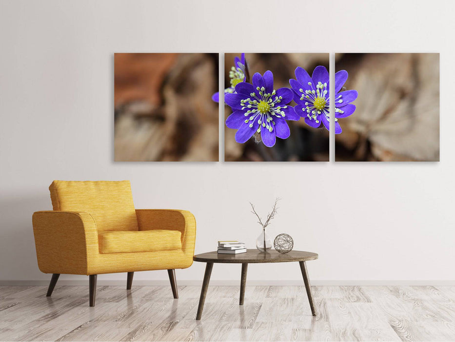 Panoramic 3-piece canvas picture wild flowers