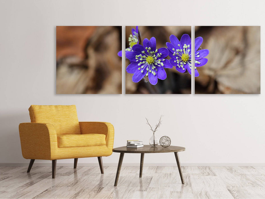 Panoramic 3-piece canvas picture wild flowers