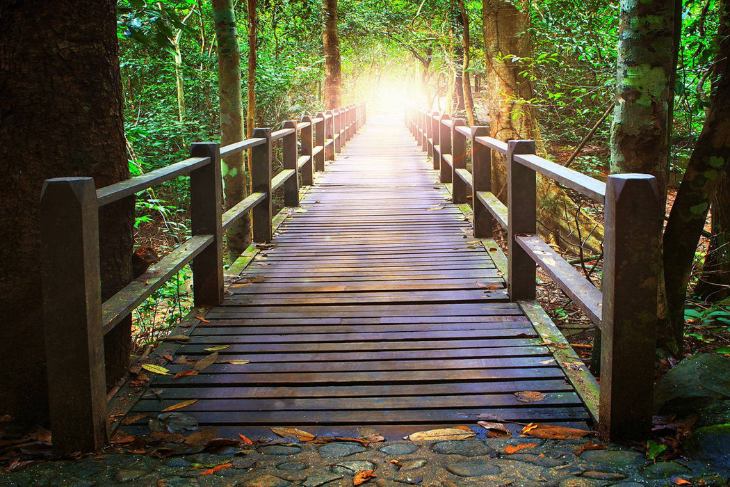 Fototapete Die Brücke im Wald - Tag2 by Suzenna