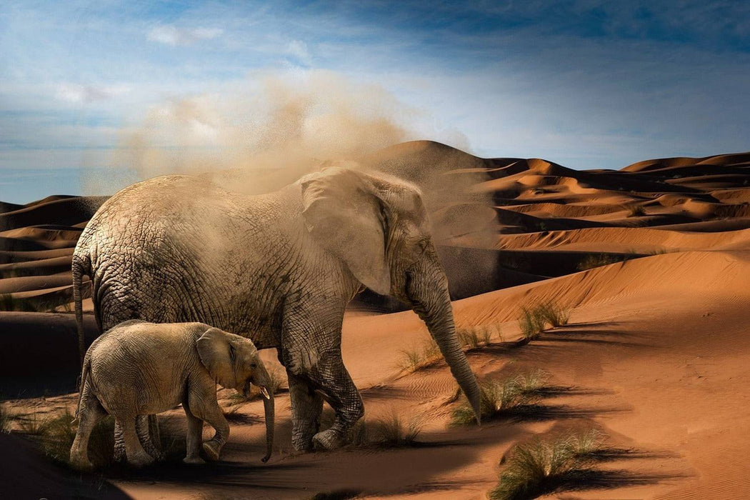 Wall Mural Elephants in the desert