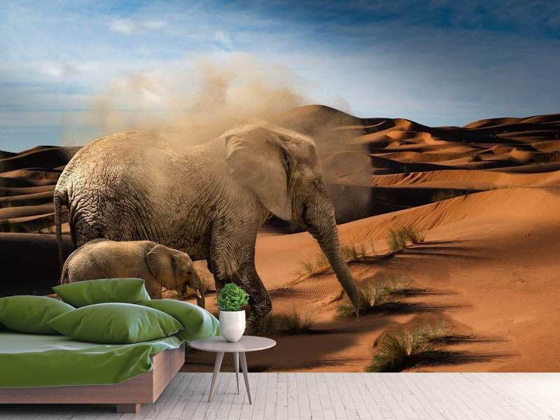 Wall Mural Elephants in the desert