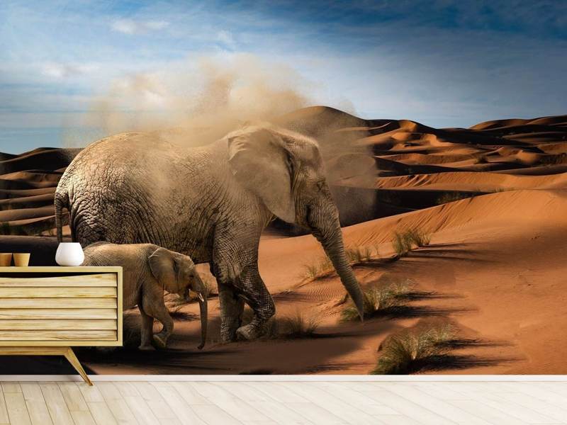 Wall Mural Elephants in the desert