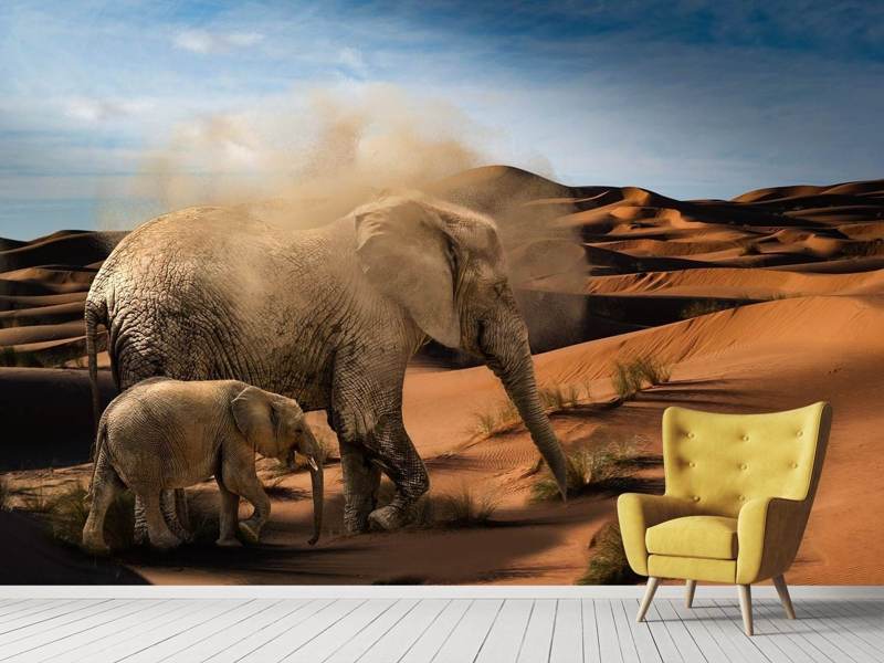 Wall Mural Elephants in the desert