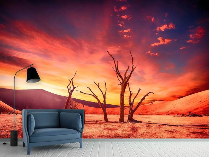 Photo wallpaper Colorful desert