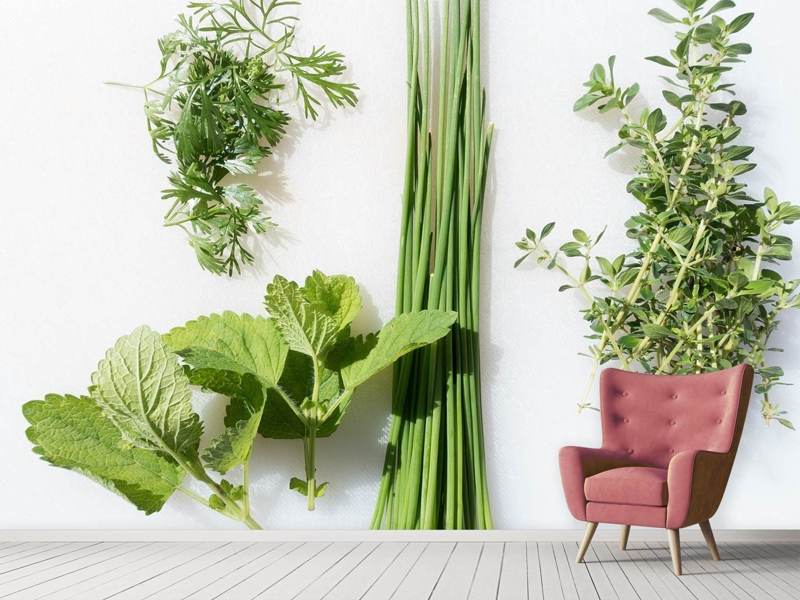 Wall Mural Fresh herbs