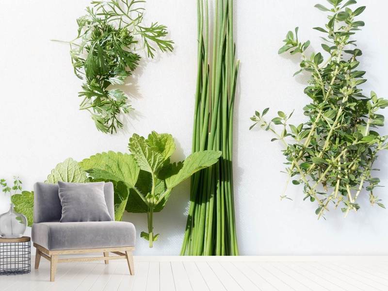 Wall Mural Fresh herbs