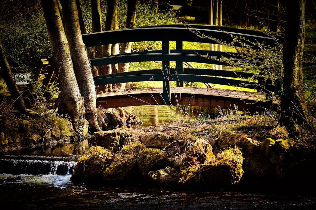 Fototapete Holzbrücke im Wald - Tag2 by Suzenna