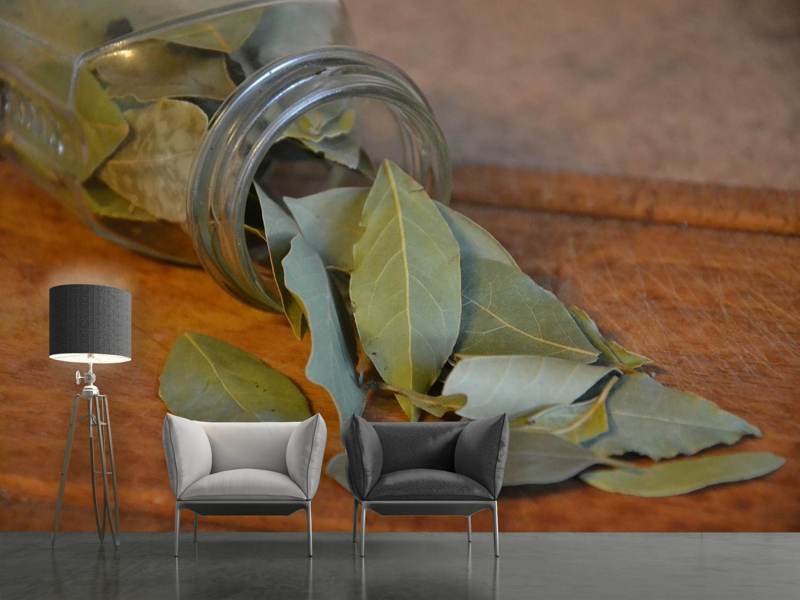 Wall Mural Bay leaves