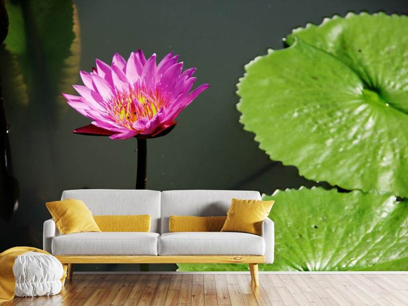 Photo wallpaper lotus blossom in pink