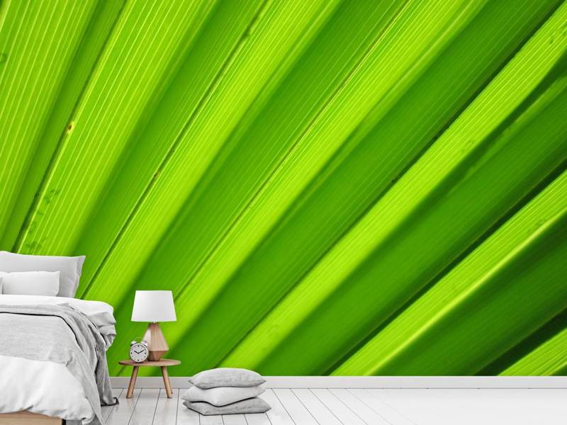 Photo wallpaper palm stripes 2