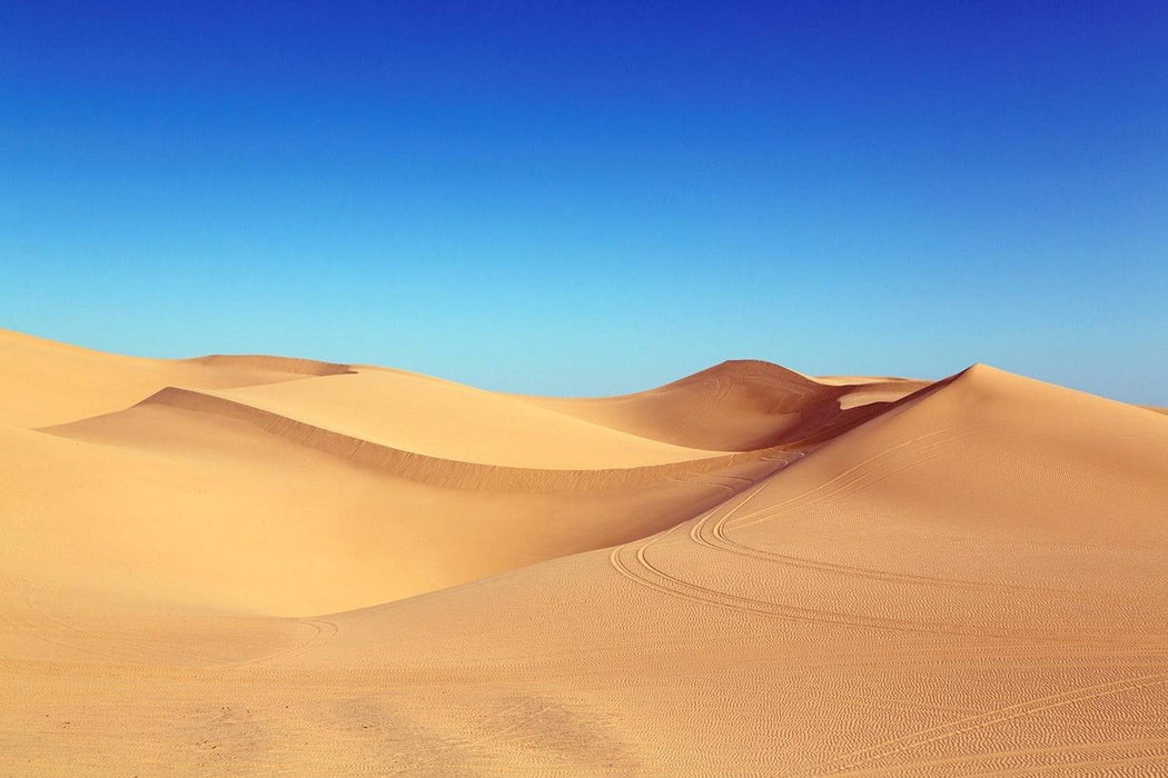 Wall Mural Beauty desert