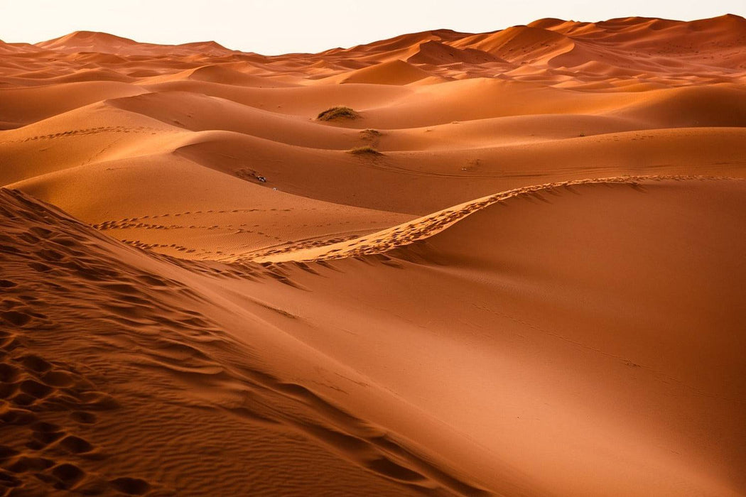 Wall Mural Traces in the desert