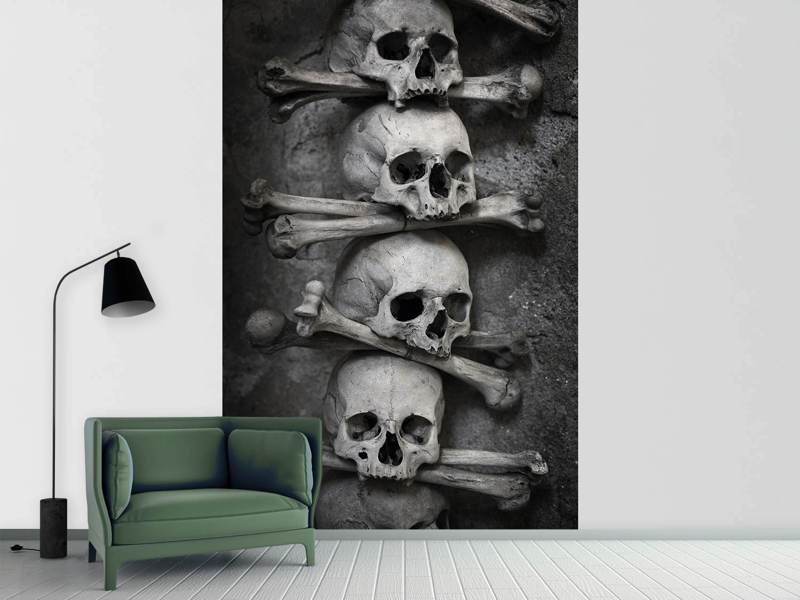 Wall Mural Skulls