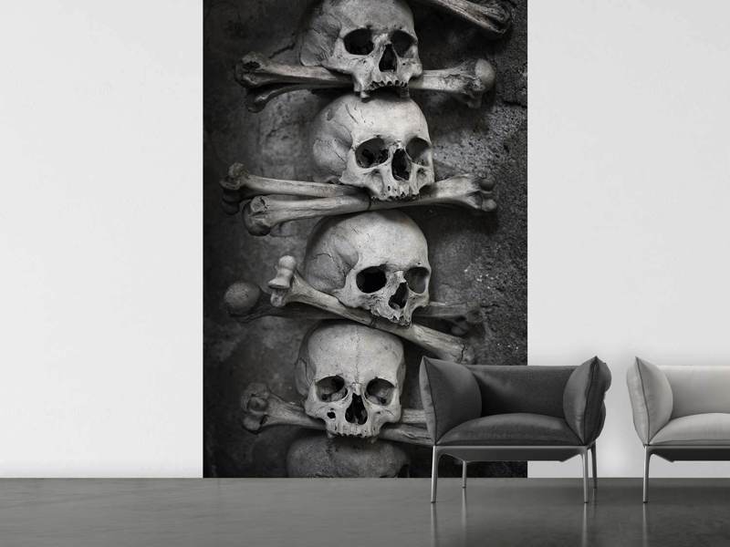 Wall Mural Skulls