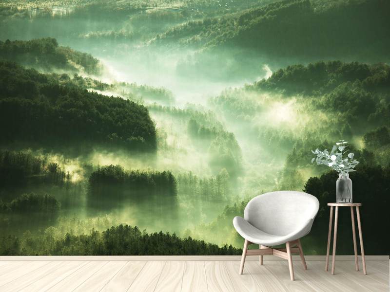 Wall Mural Above the woods