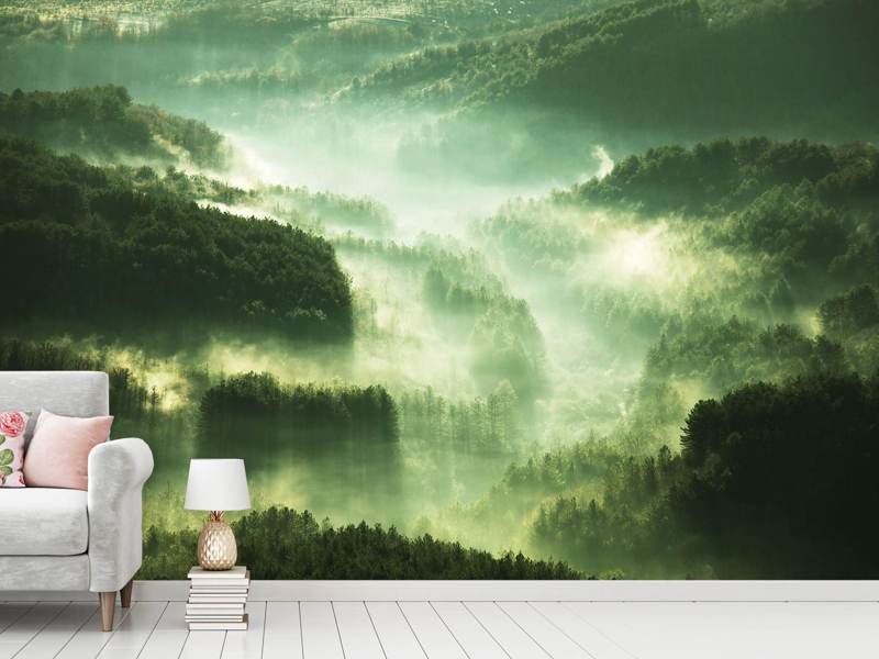 Wall Mural Above the woods