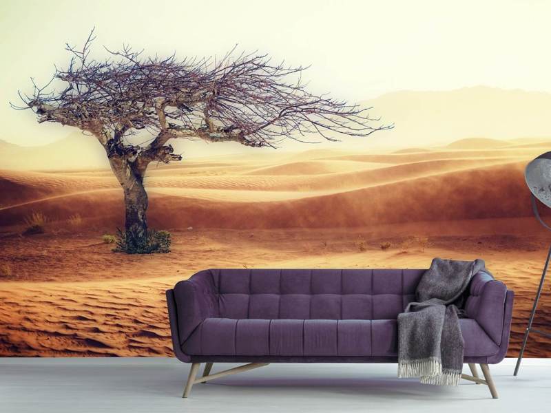 Wall Mural Desert Storm