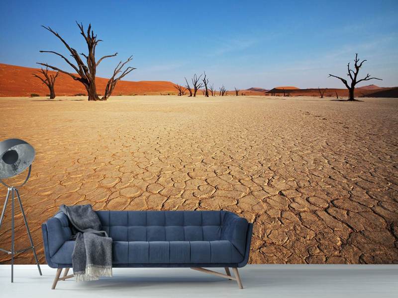 Wall Mural Desert