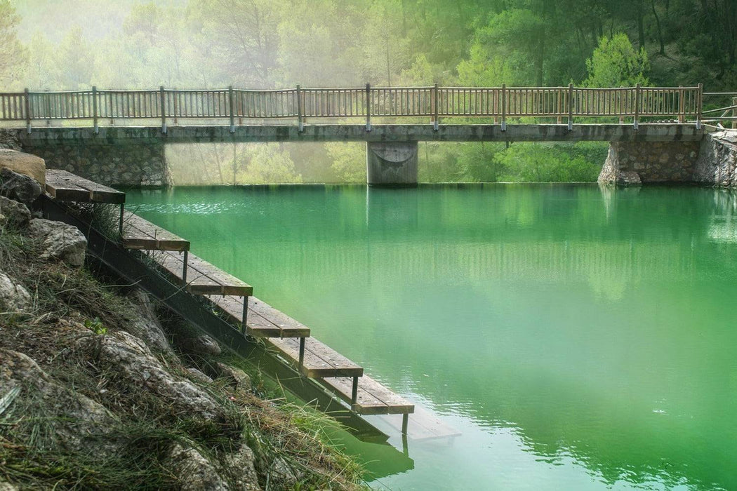 Fototapete Der grüne Teich - Tag2 by Suzenna