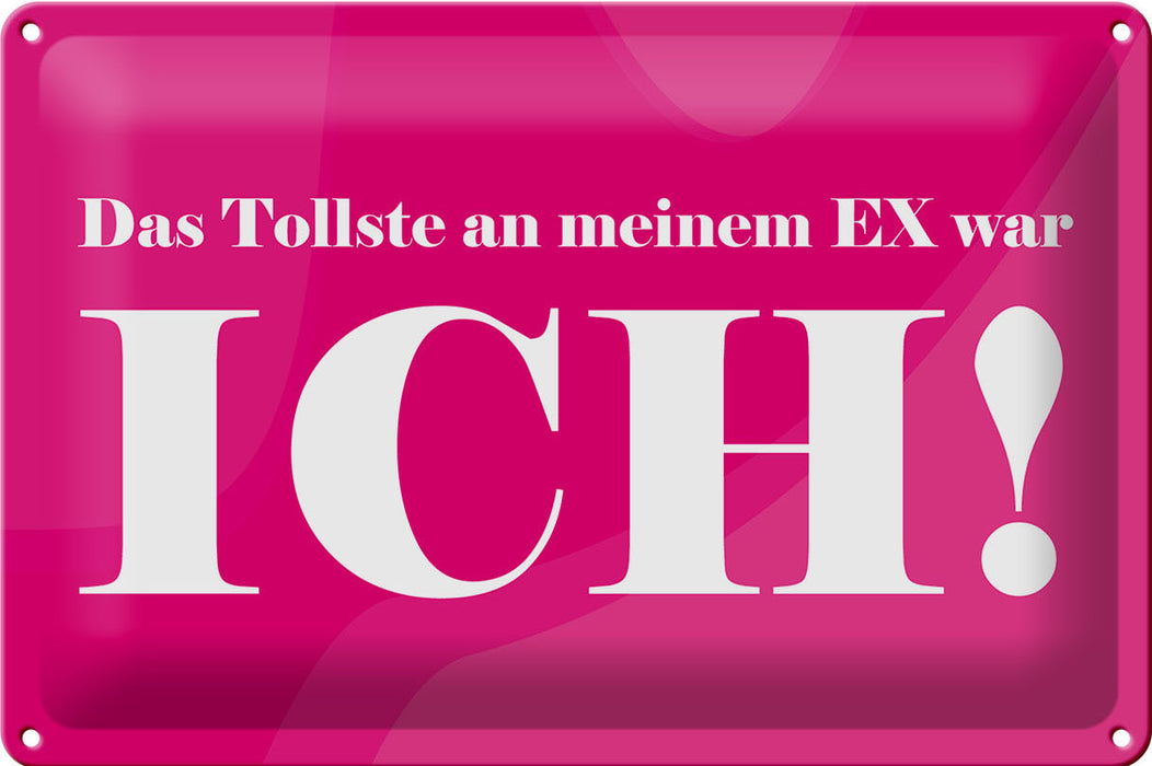 Blechschild Spruch 30x20cm Das Tollste an meinem Ex Metall Deko Schild