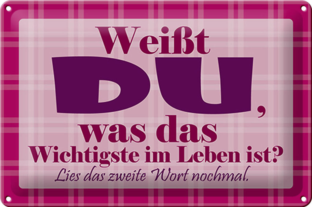 Blechschild Spruch 30x20cm Wichtigste bist DU Geschenk Deko Schild