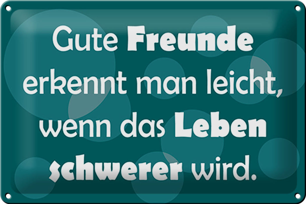 Blechschild Spruch 30x20cm Gute Freunde erkennt man leicht Deko Schild