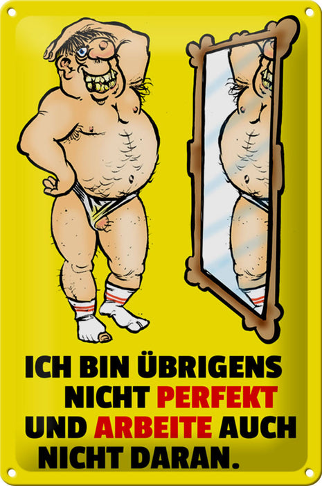 Blechschild Spruch 20x30cm ch bin übrigens nicht perfekt Deko Schild