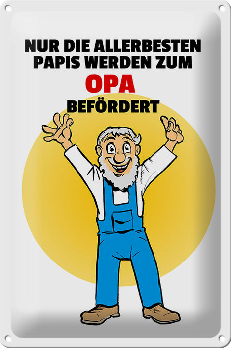 Blechschild Spruch 20x30cm Papis werden zum Opa befördert Deko Schild