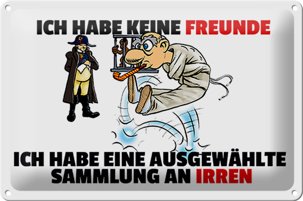 Blechschild Spruch 30x20cm keine Freunde Sammlung an Irren Deko Schild