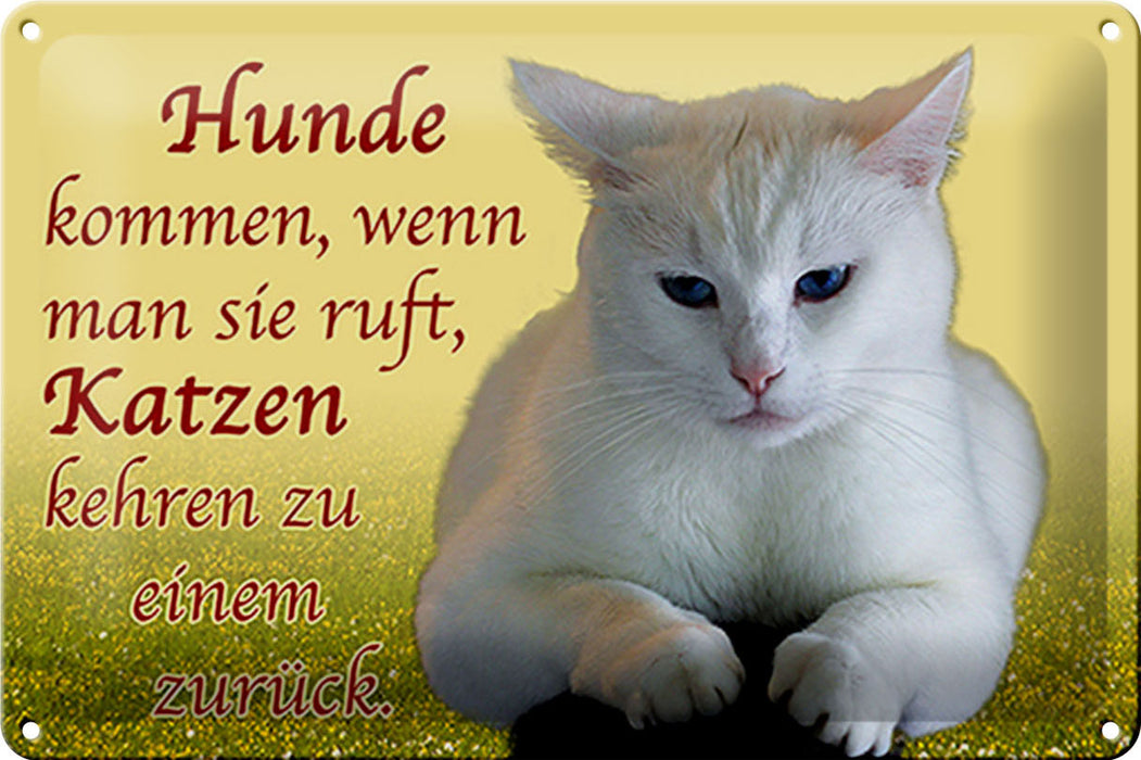 Blechschild Spruch 30x20cm Hunde kommen Katzen kehren zurück Schild