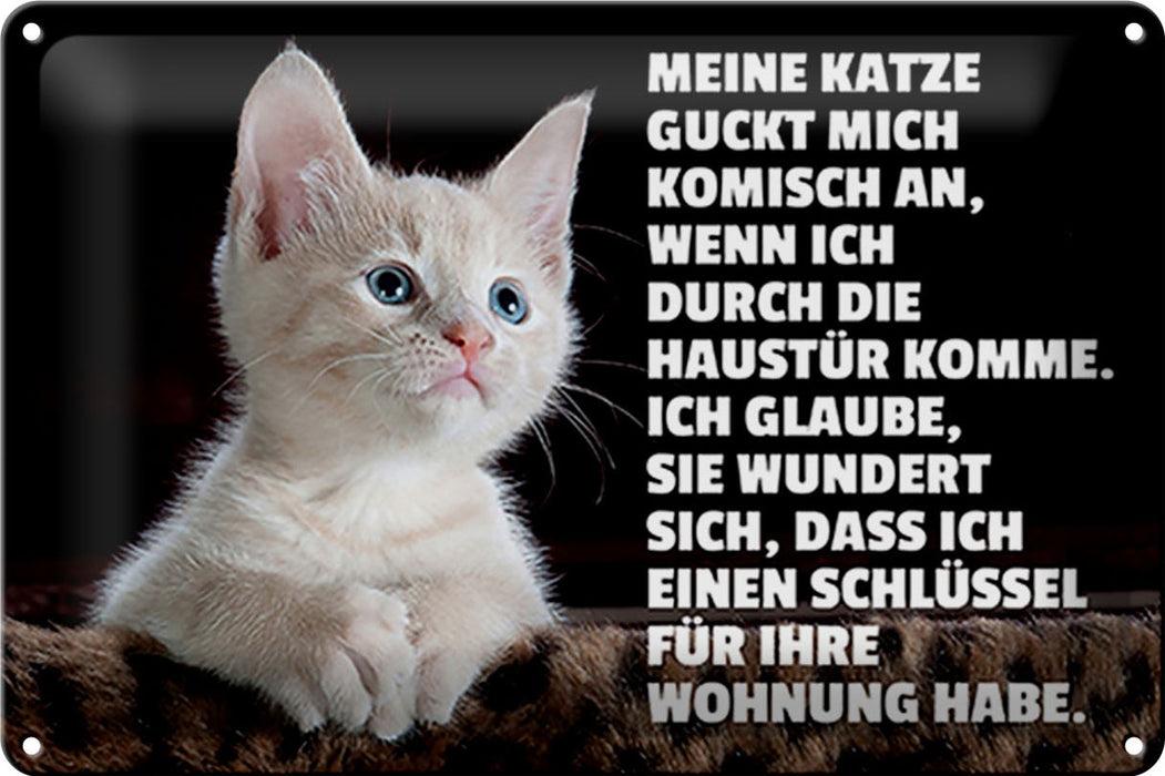 Blechschild Spruch 30x20cm Katze guckt mich komisch an Deko Schild