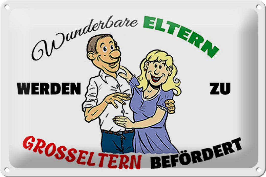 Blechschild Spruch 30x20cm wunderbare Eltern werden Großeltern Schild