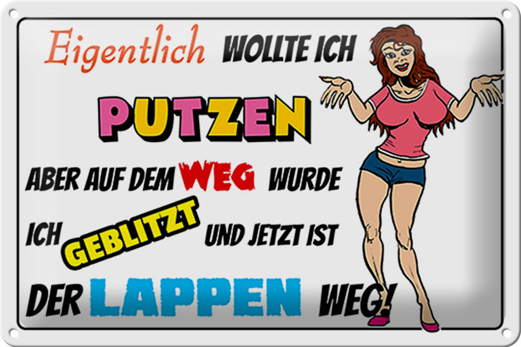 Blechschild Spruch 30x20cm eigentlich wollte ich putzen Deko Schild