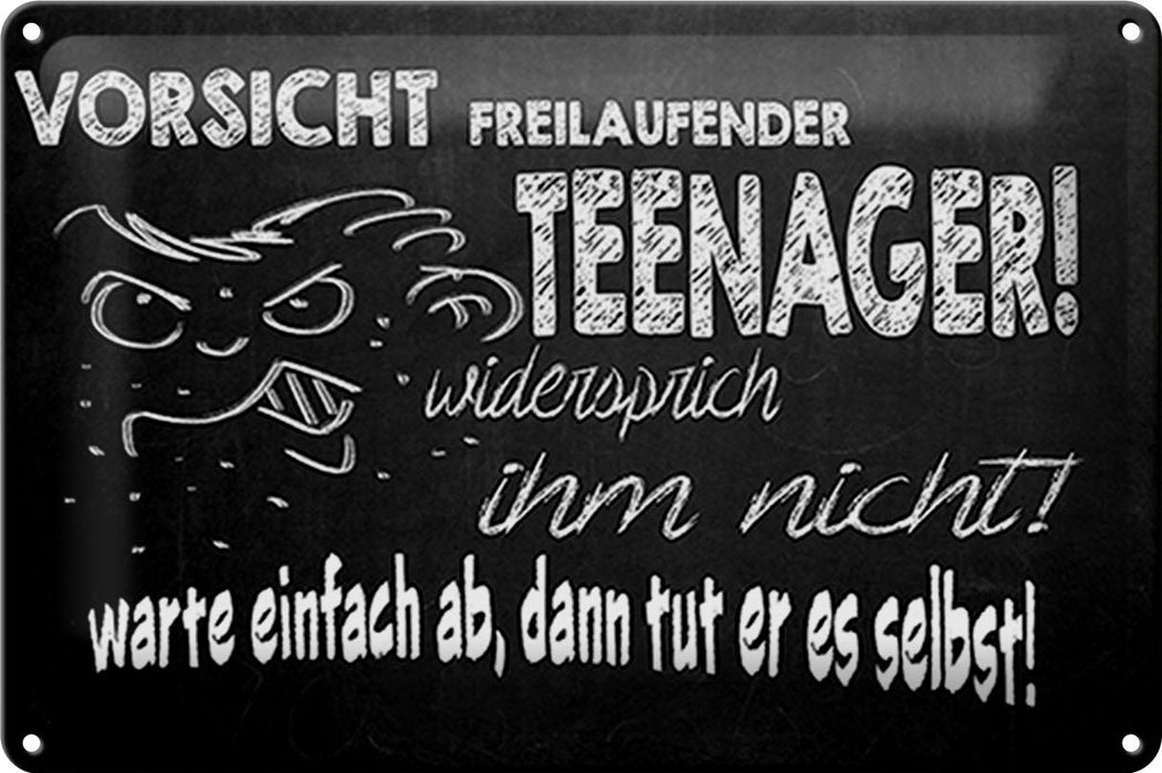 Blechschild Spruch 30x20cm Vorsicht freilaufender Teenager Deko Schild