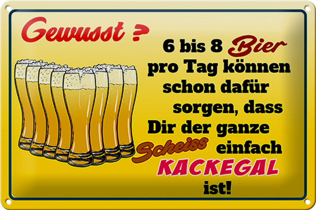 Blechschild 30x20cm 6-8 Bier ganzer Scheiß egal Deko Schild