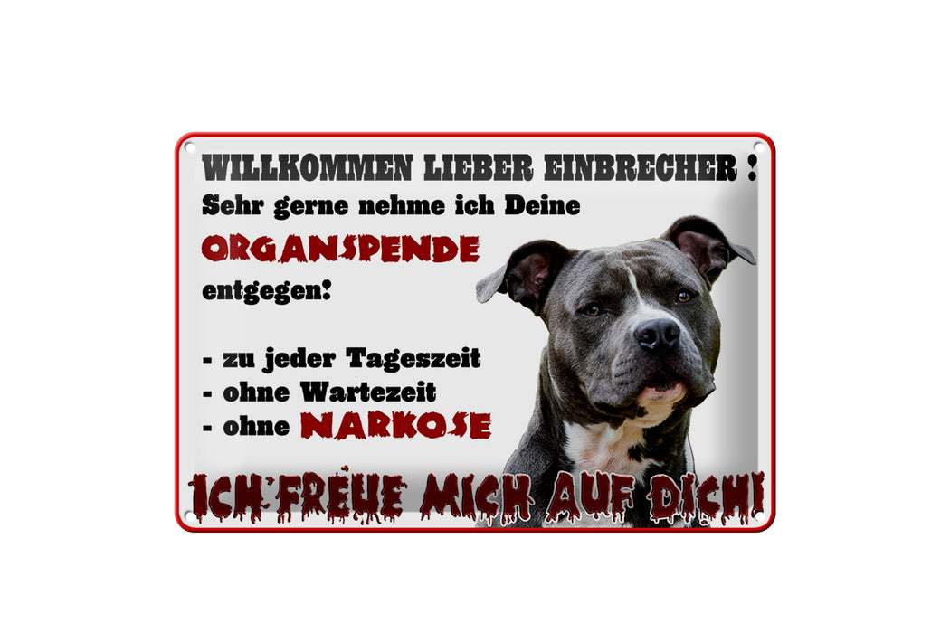 Blechschild Warnschild 30x20cm Willkommen lieber Einbrecher Deko Schild