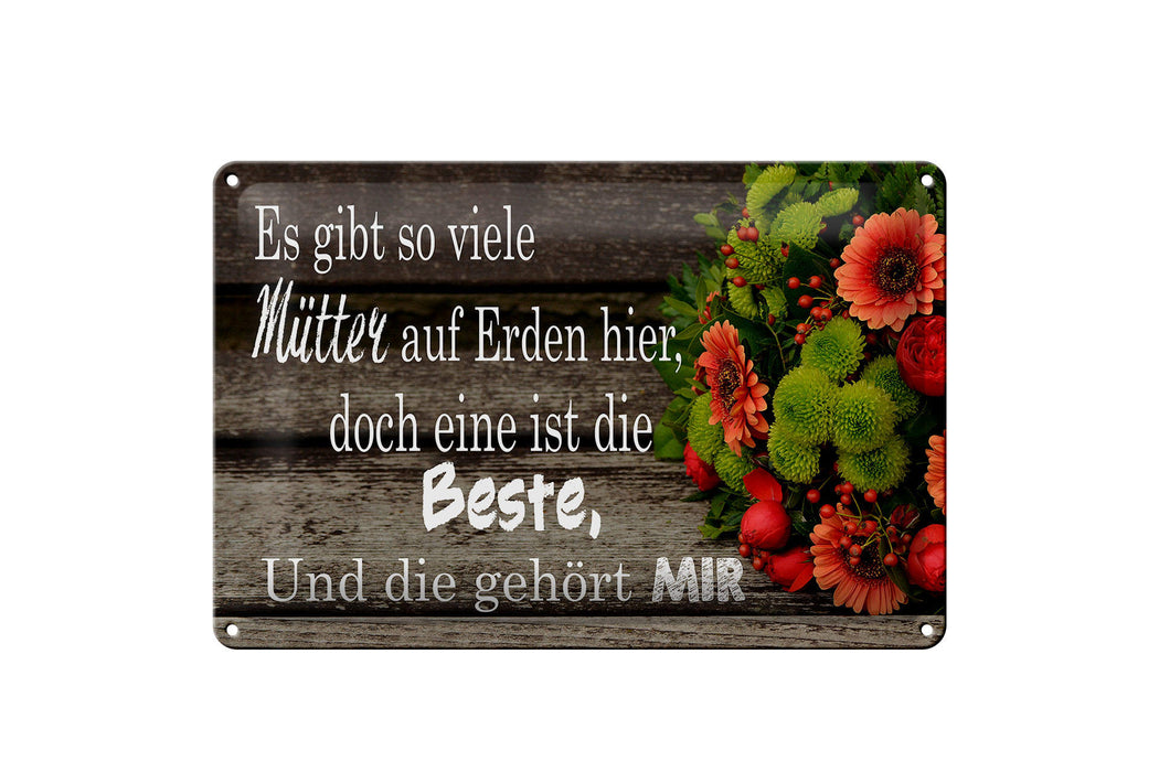 Blechschild Spruch 30x20cm es gibt viele Mütter doch eine beste Schild