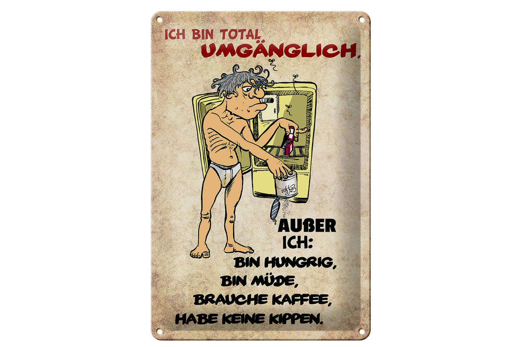 Blechschild Spruch 20x30cm bin total umgänglich außer Deko Schild