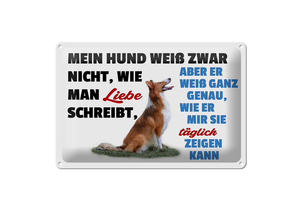 Blechschild Spruch 30x20cm mein Hund weiß zwar Hundeliebe Deko Schild