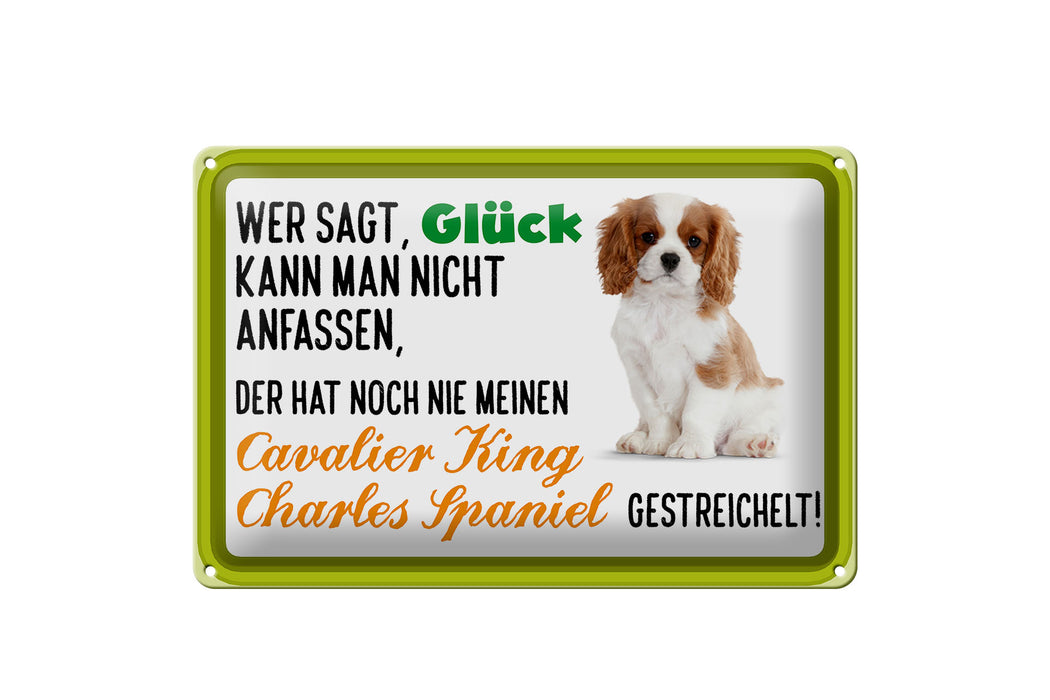 Blechschild Spruch 30x20cm Cavalier King Charles Spaniel Deko Schild