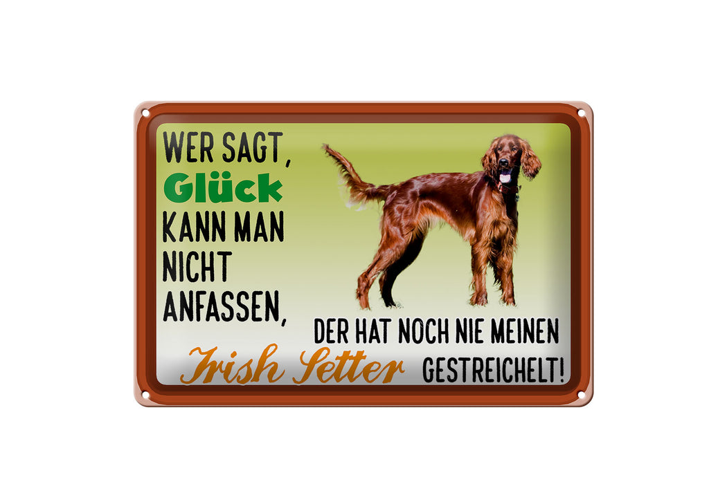 Blechschild Spruch 30x20cm Glück Irish Setter Hund Metall Deko Schild